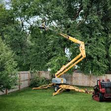 Trusted Fort Oglethorpe, GA Tree Removal Experts